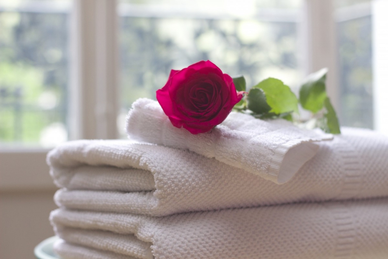 chambre-hote-DALUIS-min_towel_rose_clean_care_salon_spa_white_bath-731641